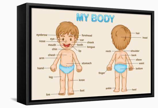 Parts of the Body-interactimages-Framed Stretched Canvas