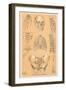 Parts of the Human Skeleton-Found Image Press-Framed Giclee Print