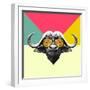 Party Buffalo in Glasses-Lisa Kroll-Framed Art Print