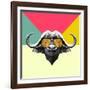 Party Buffalo in Glasses-Lisa Kroll-Framed Art Print