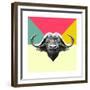 Party Buffalo-Lisa Kroll-Framed Premium Giclee Print