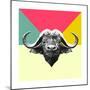 Party Buffalo-Lisa Kroll-Mounted Premium Giclee Print