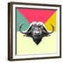 Party Buffalo-Lisa Kroll-Framed Art Print