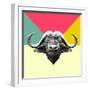 Party Buffalo-Lisa Kroll-Framed Art Print