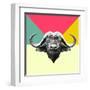 Party Buffalo-Lisa Kroll-Framed Art Print