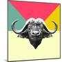 Party Buffalo-Lisa Kroll-Mounted Art Print