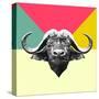 Party Buffalo-Lisa Kroll-Stretched Canvas