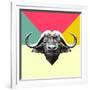 Party Buffalo-Lisa Kroll-Framed Art Print