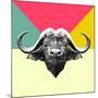 Party Buffalo-Lisa Kroll-Mounted Art Print