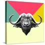 Party Buffalo-Lisa Kroll-Stretched Canvas