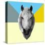 Party Horse-Lisa Kroll-Stretched Canvas