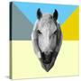 Party Horse-Lisa Kroll-Stretched Canvas