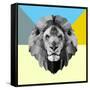 Party Lion-Lisa Kroll-Framed Stretched Canvas