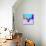 Party Moose in Glasses-Lisa Kroll-Mounted Art Print displayed on a wall