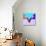 Party Moose in Glasses-Lisa Kroll-Stretched Canvas displayed on a wall