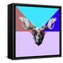 Party Moose in Glasses-Lisa Kroll-Framed Stretched Canvas