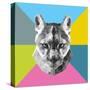 Party Mountain Lion-Lisa Kroll-Stretched Canvas