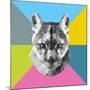 Party Mountain Lion-Lisa Kroll-Mounted Art Print