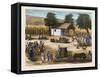 Party of the Harvest of the Grapes. Wine-null-Framed Stretched Canvas