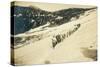 Party of Women Mountaineers in the North Cascades, Circa 1909-Asahel Curtis-Stretched Canvas