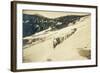 Party of Women Mountaineers in the North Cascades, Circa 1909-Asahel Curtis-Framed Giclee Print