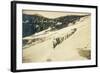 Party of Women Mountaineers in the North Cascades, Circa 1909-Asahel Curtis-Framed Giclee Print