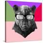 Party Panther in Glasses-Lisa Kroll-Stretched Canvas