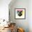 Party Panther-Lisa Kroll-Framed Premium Giclee Print displayed on a wall