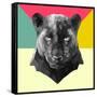 Party Panther-Lisa Kroll-Framed Stretched Canvas