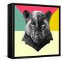 Party Panther-Lisa Kroll-Framed Stretched Canvas