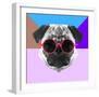 Party Pug in Pink Glasses-Lisa Kroll-Framed Premium Giclee Print