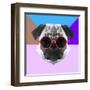 Party Pug in Pink Glasses-Lisa Kroll-Framed Art Print