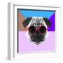 Party Pug in Pink Glasses-Lisa Kroll-Framed Art Print