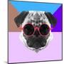 Party Pug in Pink Glasses-Lisa Kroll-Mounted Art Print