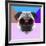 Party Pug in Pink Glasses-Lisa Kroll-Framed Art Print