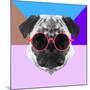 Party Pug in Pink Glasses-Lisa Kroll-Mounted Art Print