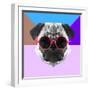 Party Pug in Pink Glasses-Lisa Kroll-Framed Art Print