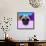 Party Pug in Pink Glasses-Lisa Kroll-Framed Stretched Canvas displayed on a wall