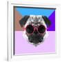 Party Pug in Pink Glasses-Lisa Kroll-Framed Art Print