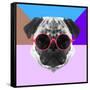 Party Pug in Pink Glasses-Lisa Kroll-Framed Stretched Canvas