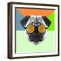 Party Pug in Yellow Glasses-Lisa Kroll-Framed Art Print