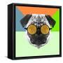 Party Pug in Yellow Glasses-Lisa Kroll-Framed Stretched Canvas