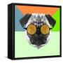 Party Pug in Yellow Glasses-Lisa Kroll-Framed Stretched Canvas