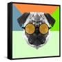 Party Pug in Yellow Glasses-Lisa Kroll-Framed Stretched Canvas