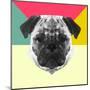 Party Pug-Lisa Kroll-Mounted Art Print