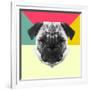 Party Pug-Lisa Kroll-Framed Art Print