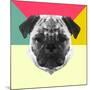 Party Pug-Lisa Kroll-Mounted Art Print