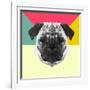 Party Pug-Lisa Kroll-Framed Art Print