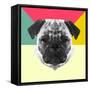 Party Pug-Lisa Kroll-Framed Stretched Canvas