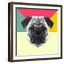 Party Pug-Lisa Kroll-Framed Art Print